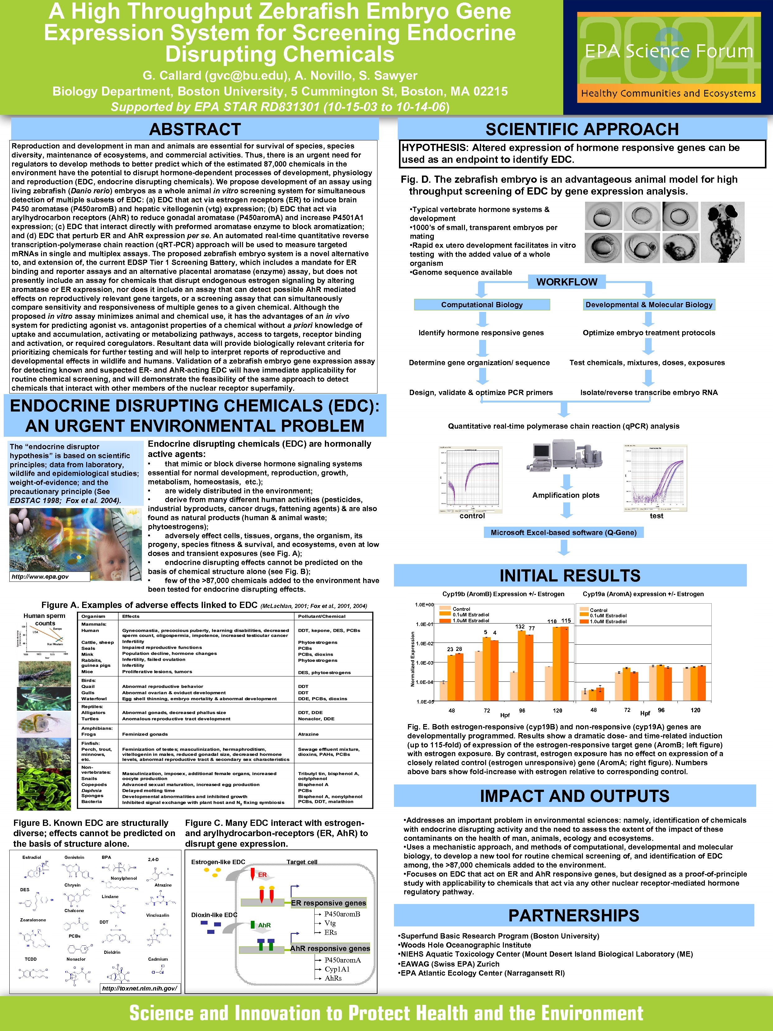 A High Throughput Zebrafish Embryo Gene Expression System for Screening Endocrine Disrupting Chemicals G.