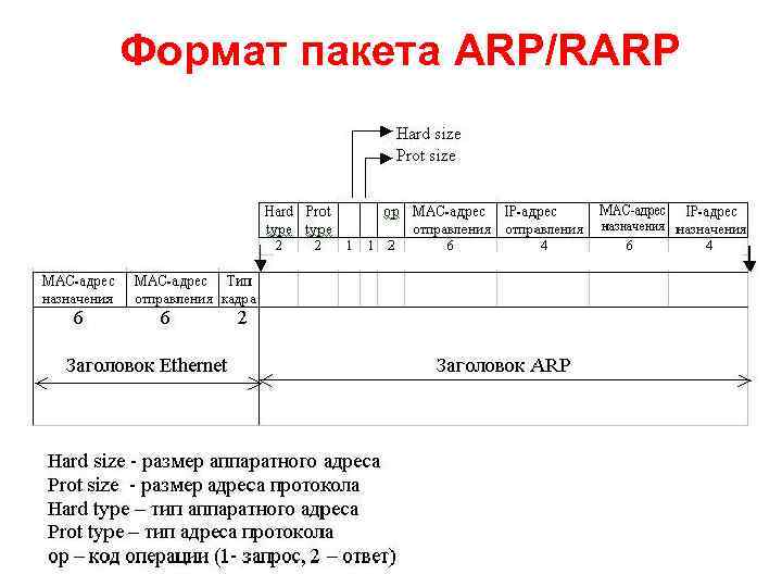 Формат пакета ARP/RARP 