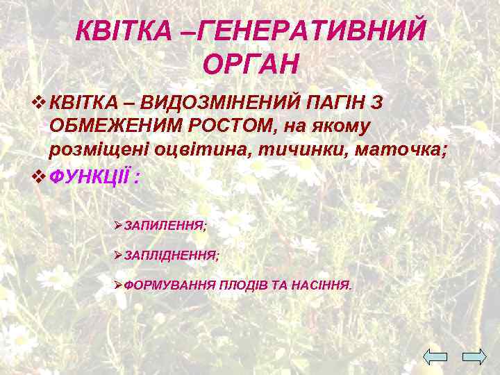 КВІТКА –ГЕНЕРАТИВНИЙ ОРГАН v КВІТКА – ВИДОЗМІНЕНИЙ ПАГІН З ОБМЕЖЕНИМ РОСТОМ, на якому розміщені