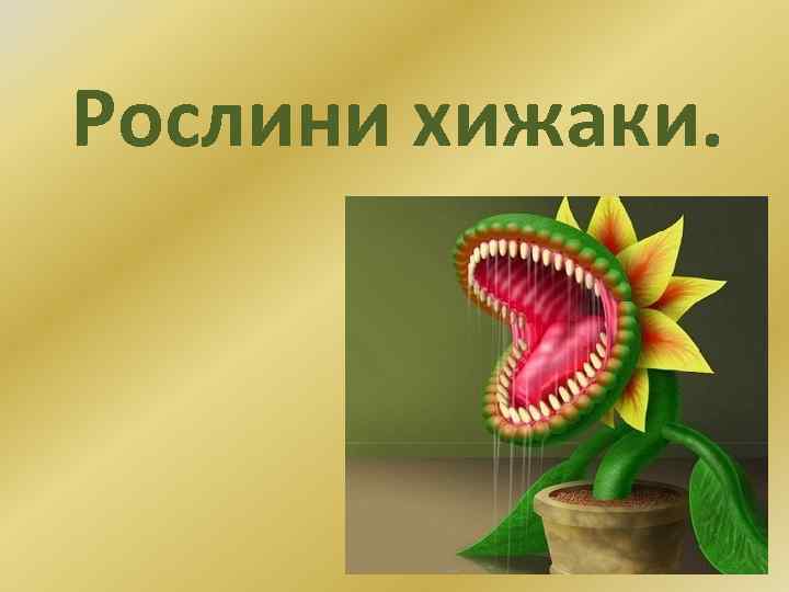 Рослини хижаки. 