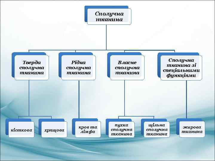 Сполучна тканина Тверда сполучна тканина кісткова Рідка сполучна тканина хрящова кров та лімфа Власне
