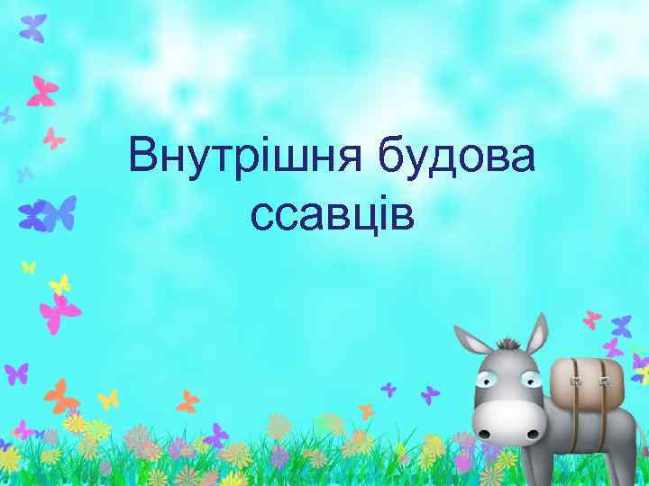 Внутрішня будова ссавців 