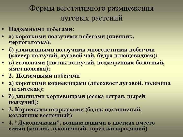 Формы вегетативного размножения луговых растений • Надземными побегами: • а) короткими ползучими побегами (нивяник,