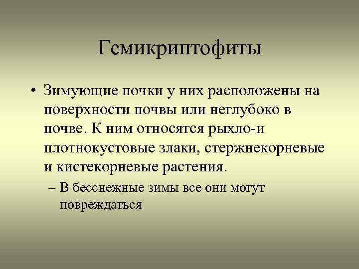 Гемикриптофиты • Зимующие почки у них расположены на поверхности почвы или неглубоко в почве.