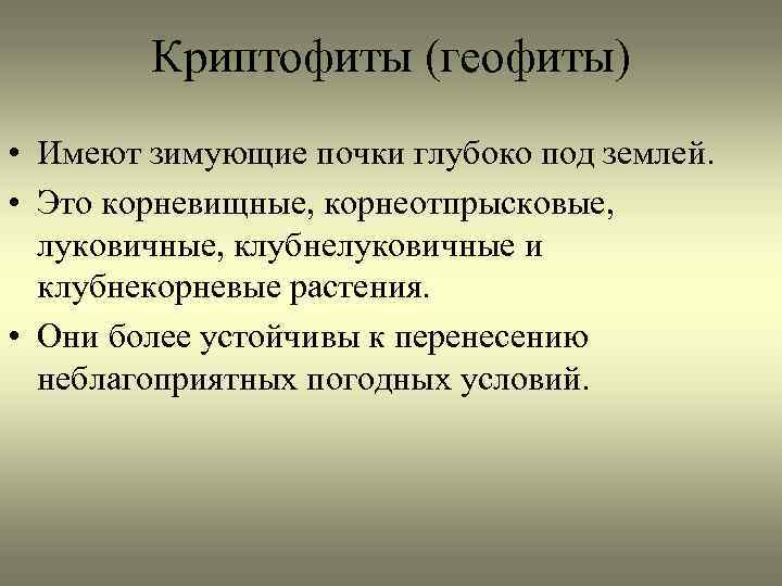 Криптофиты (геофиты) • Имеют зимующие почки глубоко под землей. • Это корневищные, корнеотпрысковые, луковичные,