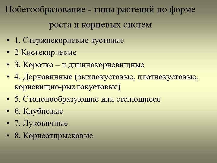 Побегообразование - типы растений по форме роста и корневых систем • • 1. Стержнекорневые