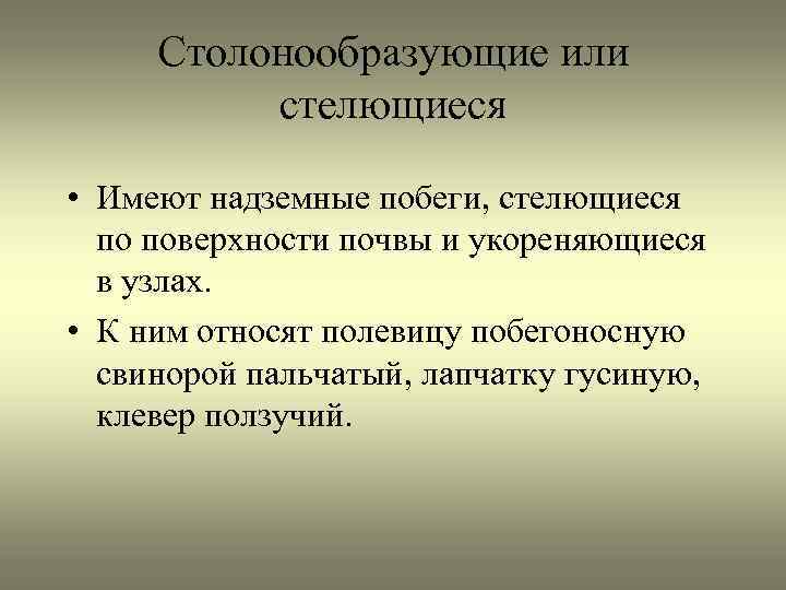 Столонообразующие или стелющиеся • Имеют надземные побеги, стелющиеся по поверхности почвы и укореняющиеся в