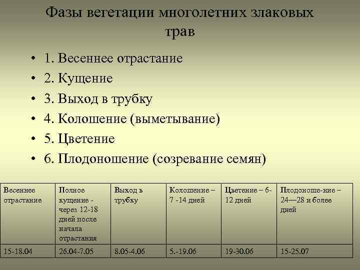 Фазы вегетации многолетних злаковых трав • • • 1. Весеннее отрастание 2. Кущение 3.