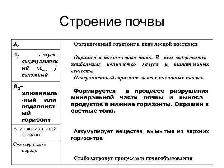 Строение почвы Ао А 1 Органогенный горизонт в виде лесной постилки гумусо– аккумулятивн ый