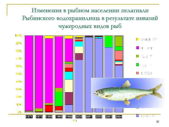 Изменения в рыбном населении пелагиали Рыбинского водохранилища в результате инвазий чужеродных видов рыб 10