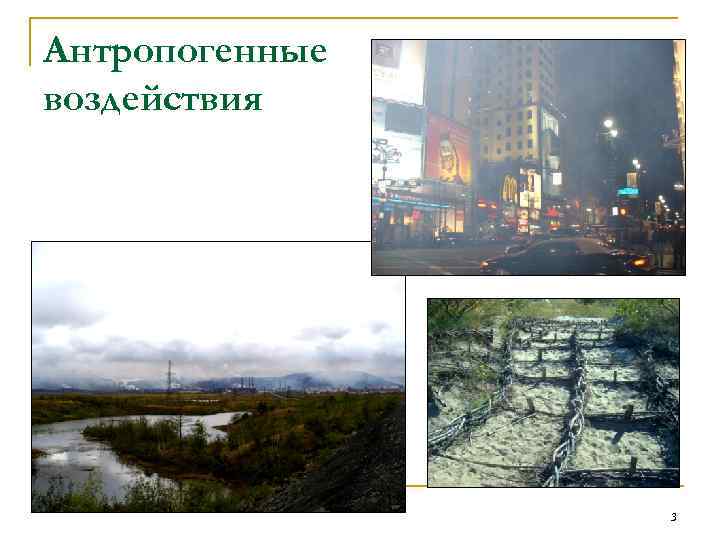Антропогенные воздействия 3 