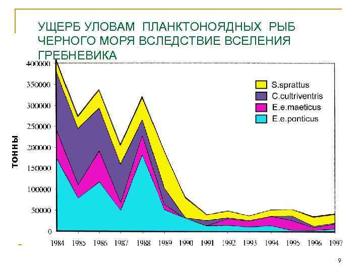 тонны УЩЕРБ УЛОВАМ ПЛАНКТОНОЯДНЫХ РЫБ ЧЕРНОГО МОРЯ ВСЛЕДСТВИЕ ВСЕЛЕНИЯ ГРЕБНЕВИКА 9 