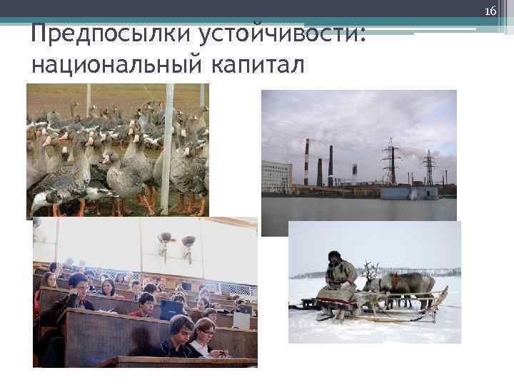 Предпосылки устойчивости: национальный капитал 16 