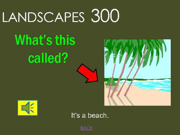 LANDSCAPES 300 What’s this called? It’s a beach. BACK 