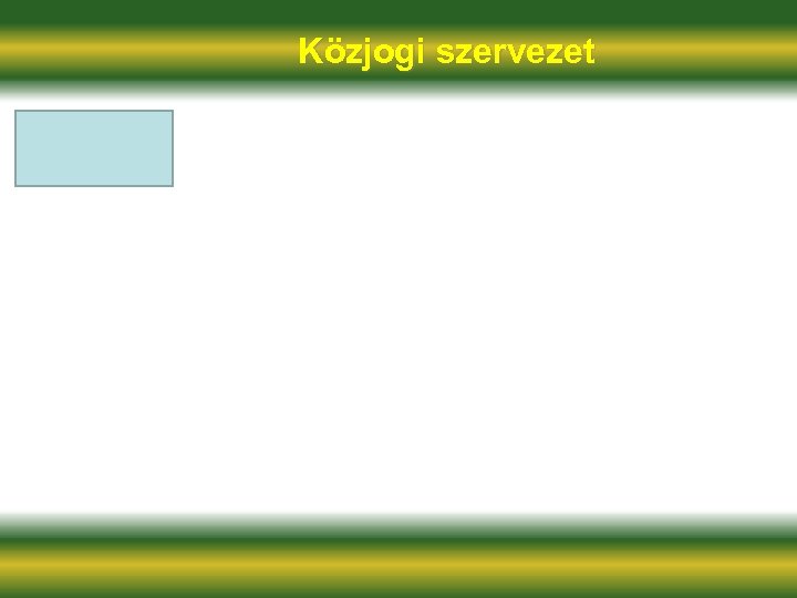 Közjogi szervezet 