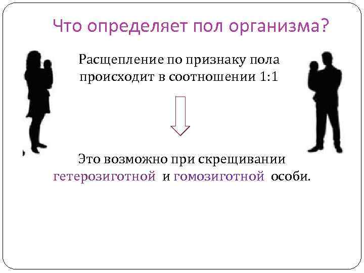 Что определяет пол организма? Расщепление по признаку пола происходит в соотношении 1: 1 Это