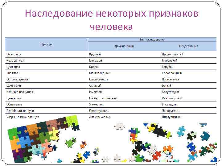 Наследование некоторых признаков человека 