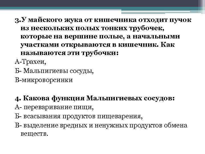 3. У майского жука от кишечника отходит пучок из нескольких полых тонких трубочек, которые