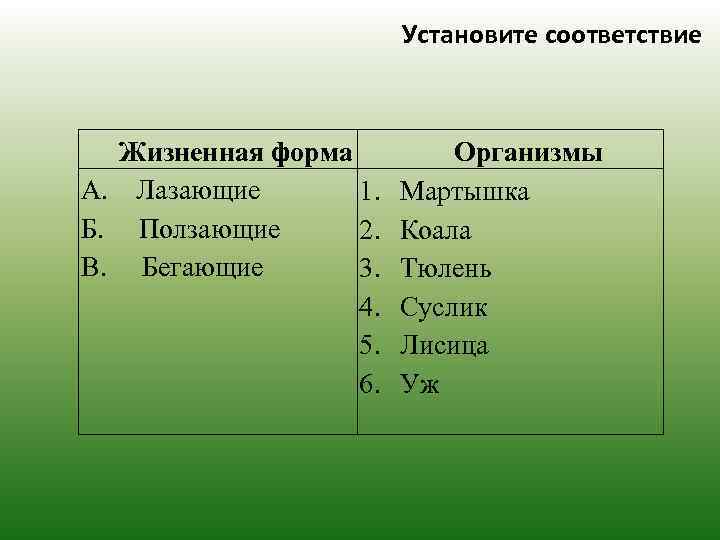 Установите соответствие Жизненная форма А. Лазающие 1. Б. Ползающие 2. В. Бегающие 3. 4.