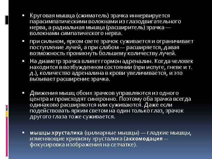  Круговая мышца (сжиматель) зрачка иннервируется парасимпатическими волокнами из глазодвигательного нерва, а радиальная мышца