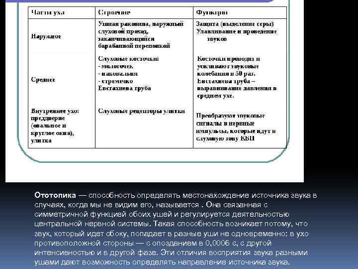 Ототопика — способность определять местонахождение источника звука в случаях, когда мы не видим его,