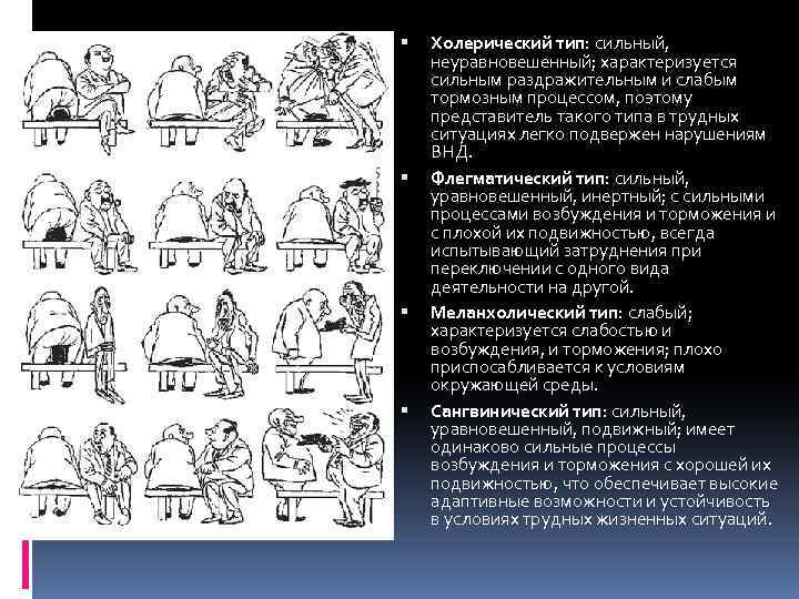  Холерический тип: сильный, неуравновешенный; характеризуется сильным раздражительным и слабым тормозным процессом, поэтому представитель