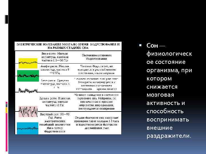  Сон — физиологическ ое состояние организма, при котором снижается мозговая активность и способность