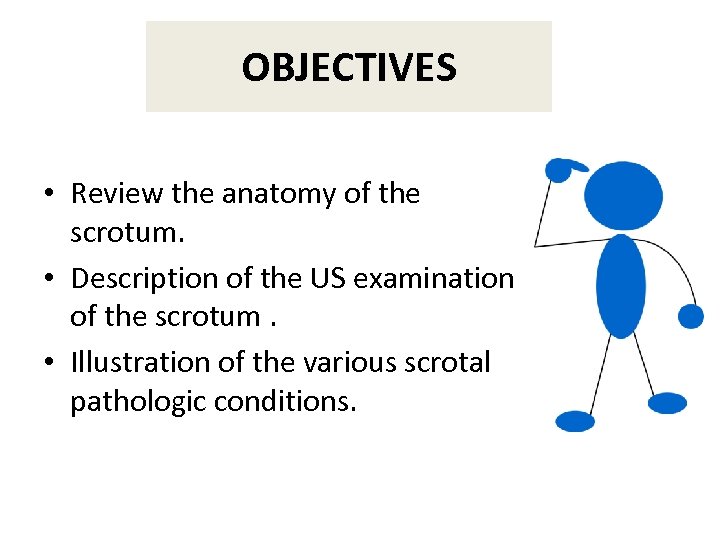 OBJECTIVES • Review the anatomy of the scrotum. • Description of the US examination