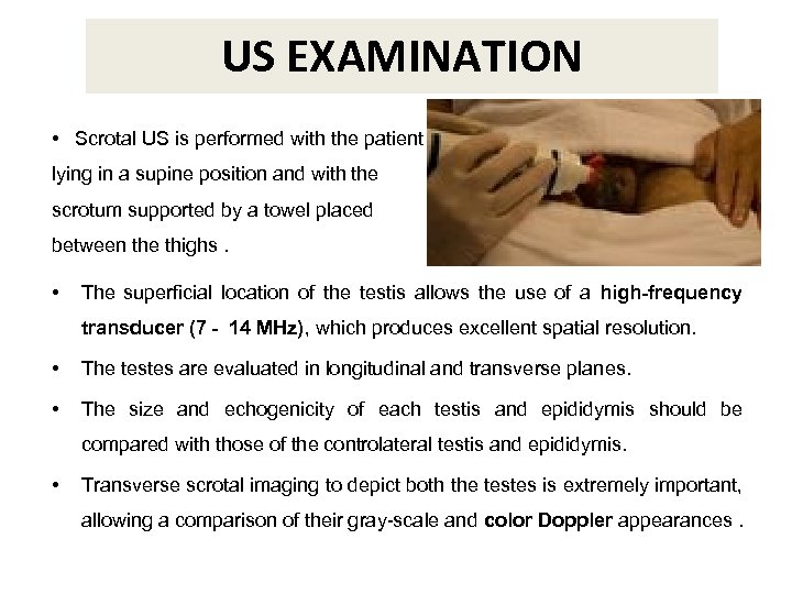 US EXAMINATION • Scrotal US is performed with the patient lying in a supine