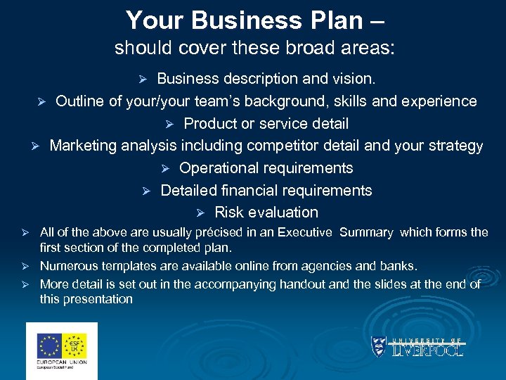 Your Business Plan – should cover these broad areas: Business description and vision. Ø