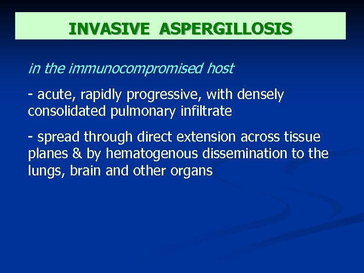 INVASIVE ASPERGILLOSIS in the immunocompromised host - acute, rapidly progressive, with densely consolidated pulmonary