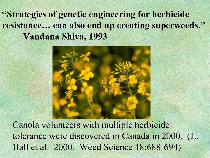 “Strategies of genetic engineering for herbicide resistance… can also end up creating superweeds. ”