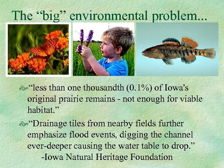 The “big” environmental problem. . . “less than one thousandth (0. 1%) of Iowa's