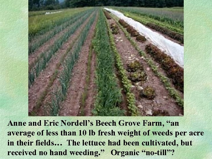 Anne and Eric Nordell’s Beech Grove Farm, “an average of less than 10 lb