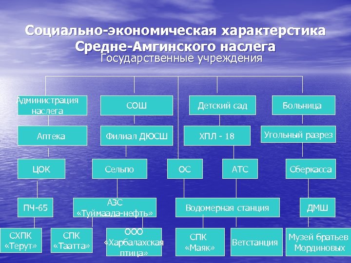 Социально-экономическая характерстика Средне-Амгинского наслега Государственные учреждения Администрация наслега Аптека СХПК «Терут» ХПЛ - 18