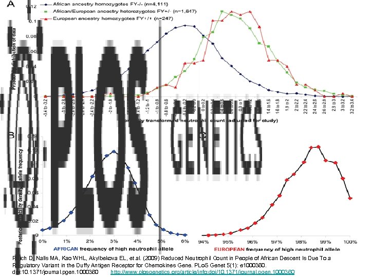 Reich D, Nalls MA, Kao WHL, Akylbekova EL, et al. (2009) Reduced Neutrophil Count