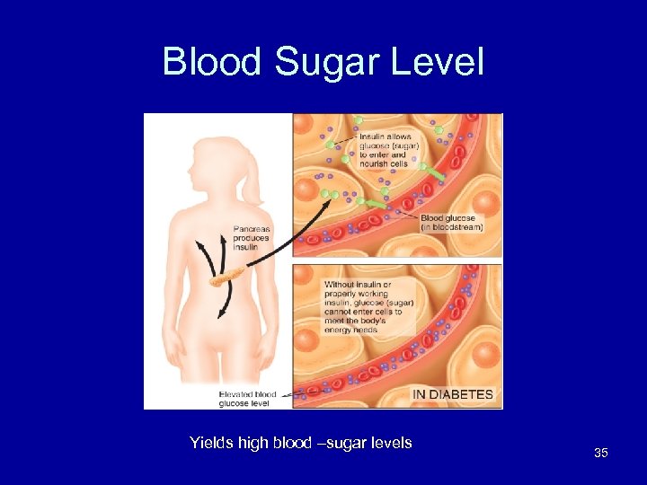 Blood Sugar Level Yields high blood –sugar levels 35 