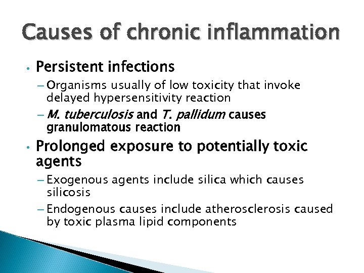 Causes of chronic inflammation • Persistent infections – Organisms usually of low toxicity that