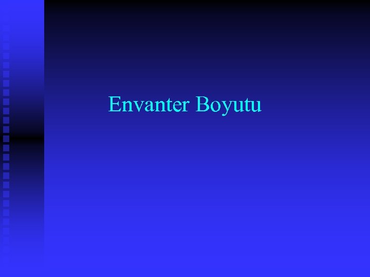 Envanter Boyutu 