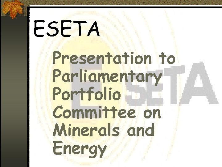 ESETA Presentation to Parliamentary Portfolio Committee on Minerals and Energy 