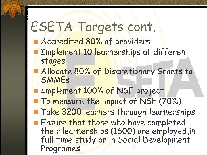 ESETA Targets cont. n Accredited 80% of providers n Implement 10 learnerships at different