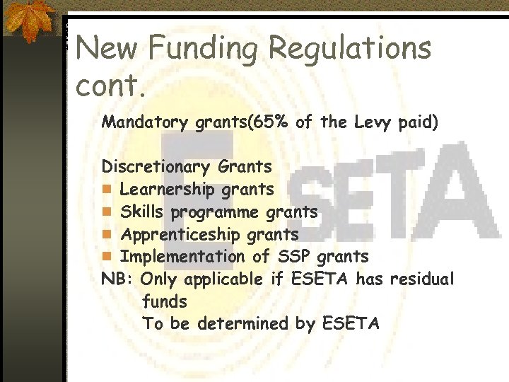 New Funding Regulations cont. Mandatory grants(65% of the Levy paid) Discretionary Grants n Learnership