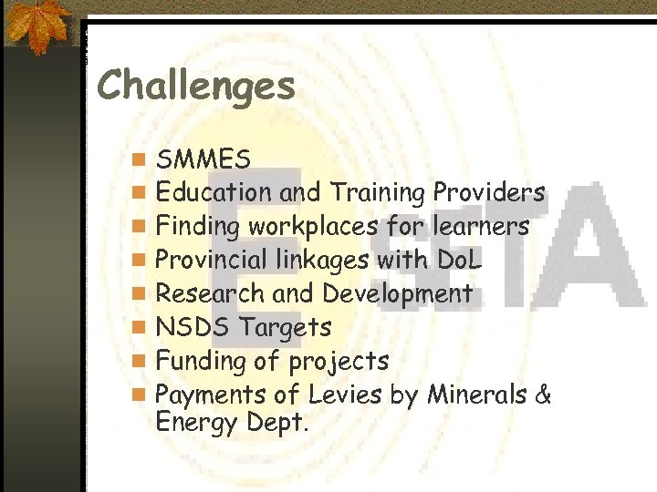 Challenges n SMMES n Education and Training Providers n Finding workplaces for learners n