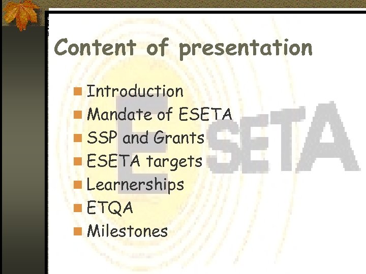 Content of presentation n Introduction n Mandate of ESETA n SSP and Grants n