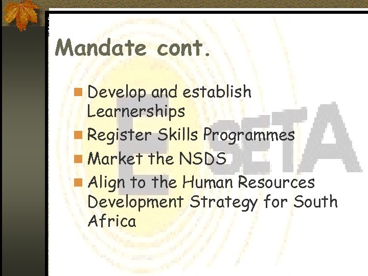 Mandate cont. n Develop and establish Learnerships n Register Skills Programmes n Market the