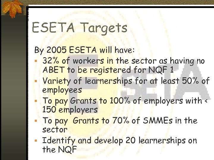 ESETA Targets By 2005 ESETA will have: § 32% of workers in the sector