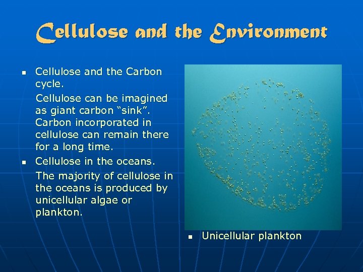 Cellulose and the Environment n n Cellulose and the Carbon cycle. Cellulose can be