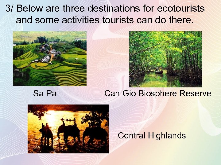 3/ Below are three destinations for ecotourists and some activities tourists can do there.