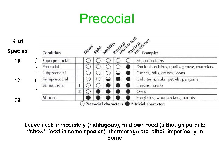 Precocial % of Species 10 12 78 Leave nest immediately (nidifugous), find own food