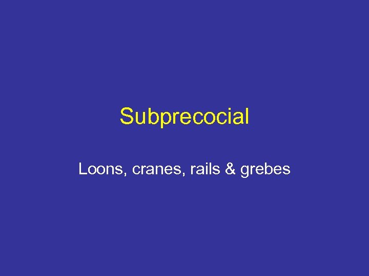 Subprecocial Loons, cranes, rails & grebes 